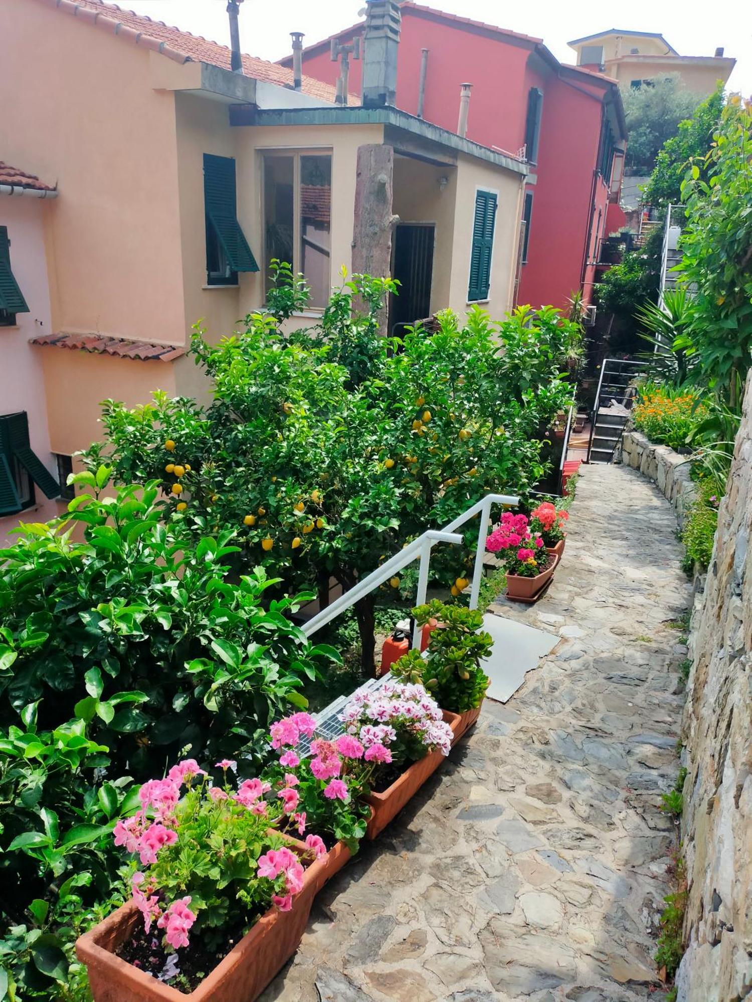 Affittacamere Fiorella Riomaggiore Esterno foto