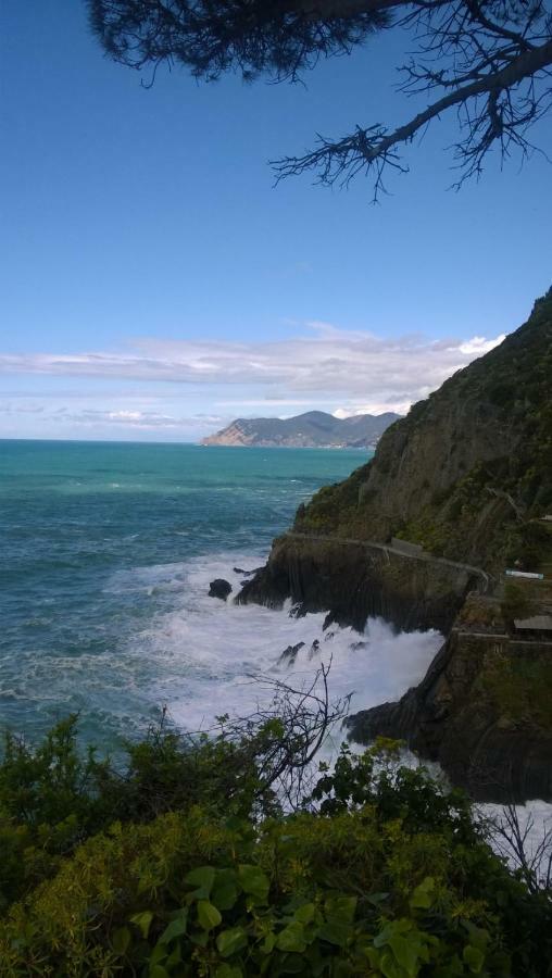 Affittacamere Fiorella Riomaggiore Esterno foto
