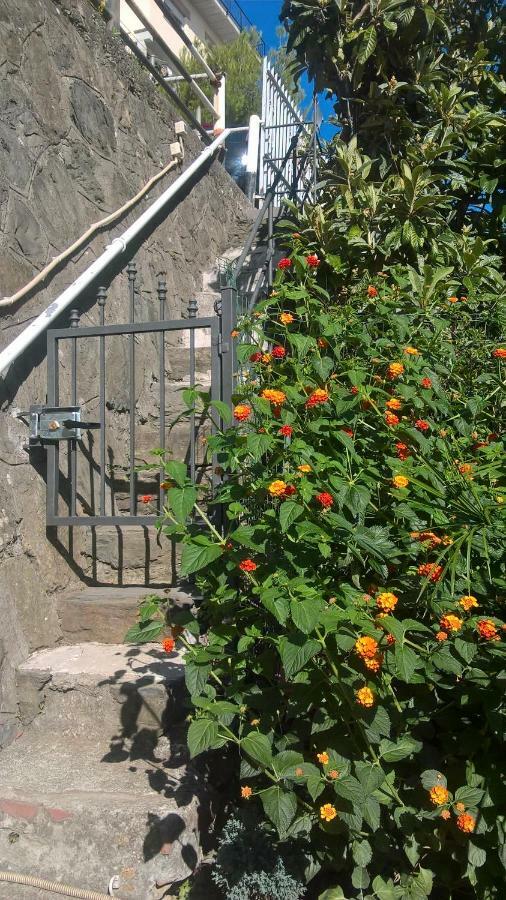 Affittacamere Fiorella Riomaggiore Esterno foto